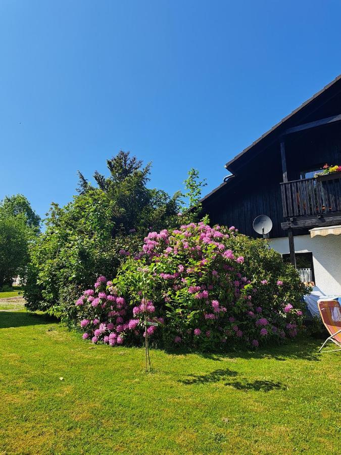 Ferienwohnung Martin Thalfang Bagian luar foto